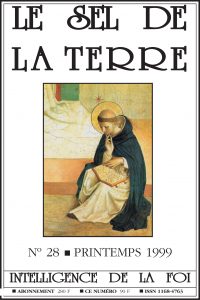 Sel de la Terre n°28